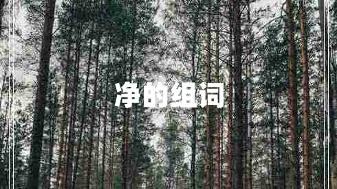 净的组词