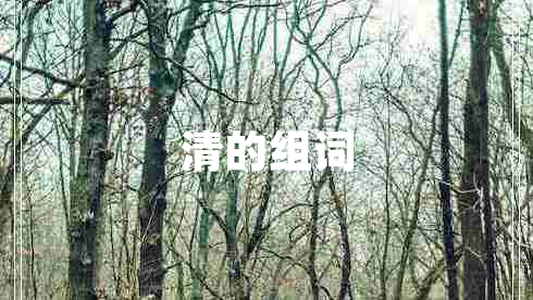 清的组词
