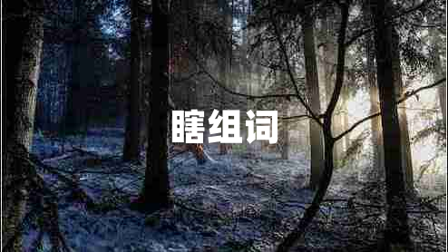 瞎组词