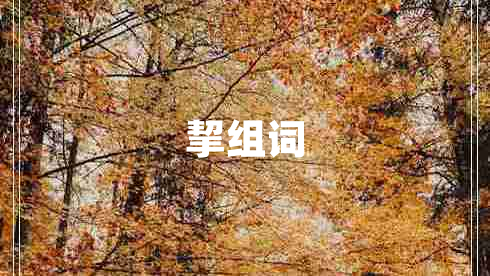 挈组词
