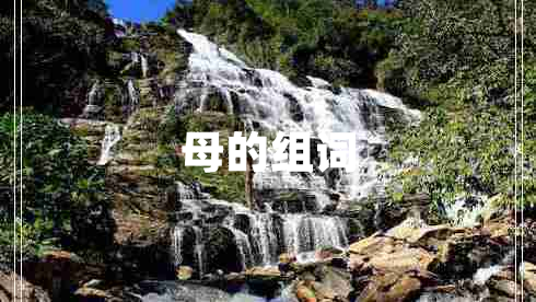 母的组词