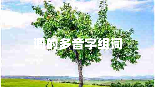 调的多音字组词
