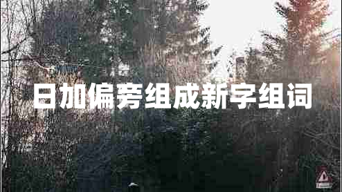 日加偏旁组成新字组词 日加偏旁组成新字组词