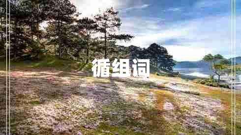 循组词