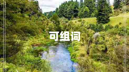 可组词