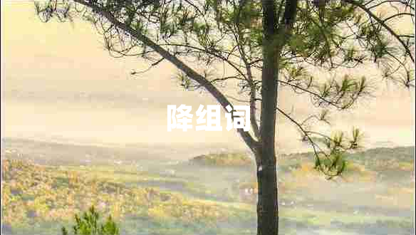 降组词