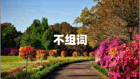 不组词