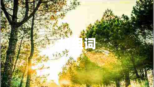 村组词