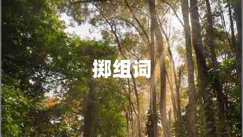掷组词