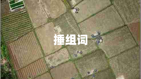 捶组词