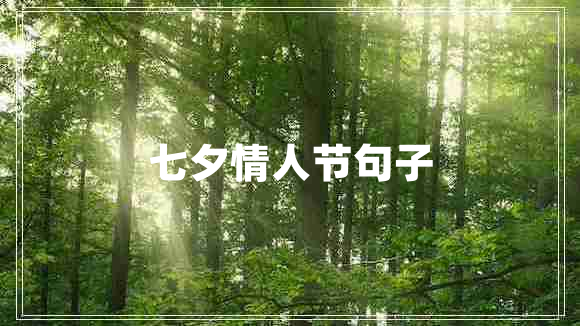 七夕情人节句子