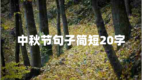 中秋节句子简短20字