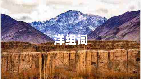 洋组词