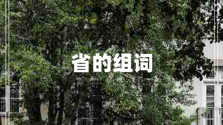 省的组词