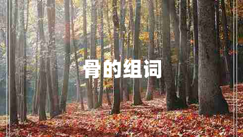 骨的组词