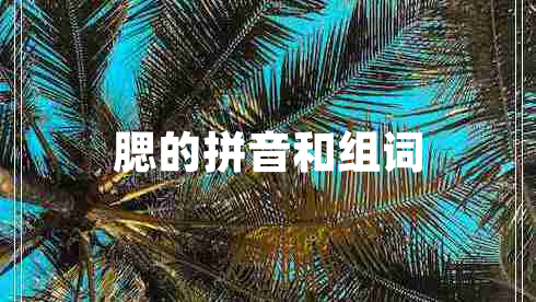 腮的拼音和组词