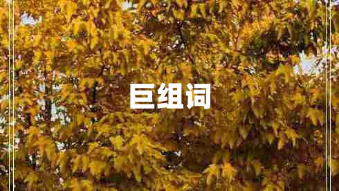 巨组词