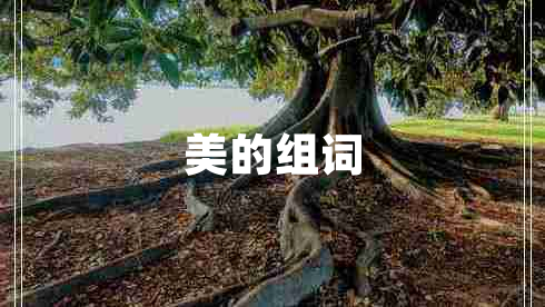美的组词