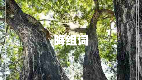 晦组词