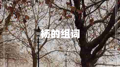 杨的组词