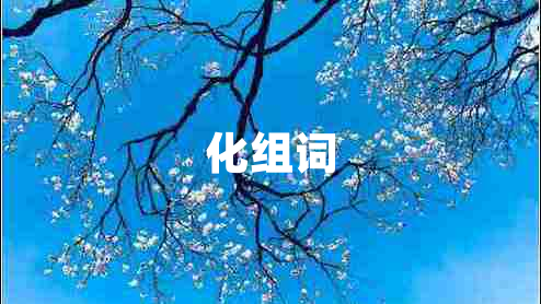 化组词