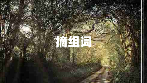 摘组词