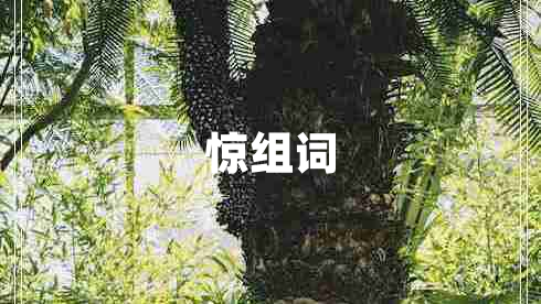 惊组词