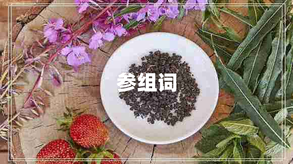 参组词