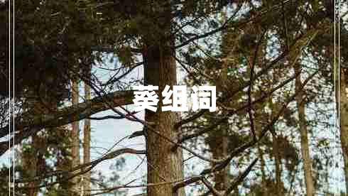 葵组词