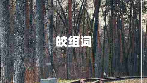 皎组词