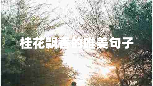桂花飘香的唯美句子