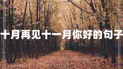 十月再见十一月你好的句子