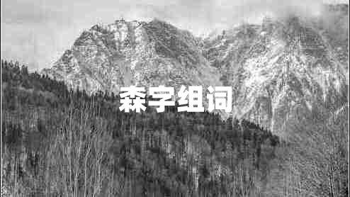 森字组词