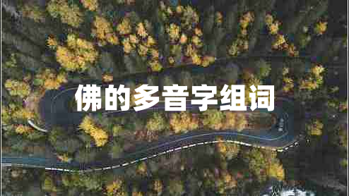 佛的多音字组词