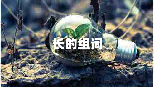 长的组词 长的组词