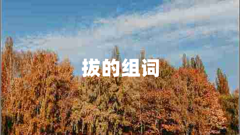拔的组词