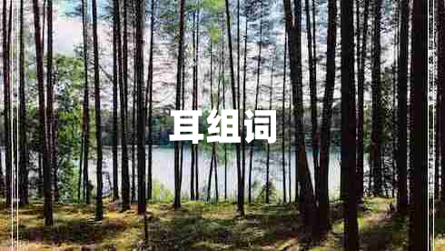 耳组词