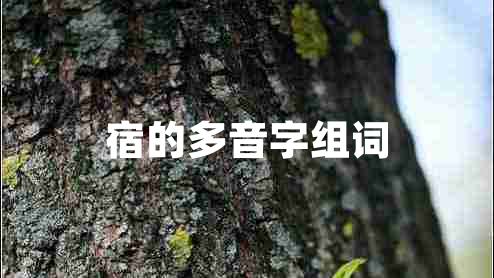 宿的多音字组词