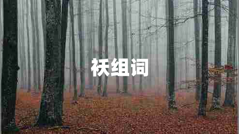 袄组词