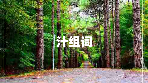 汁组词