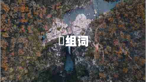 啰组词