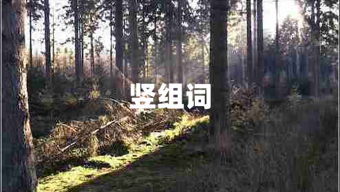 竖组词