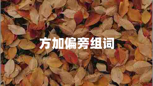 方加偏旁组词