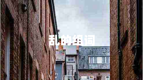 乱的组词