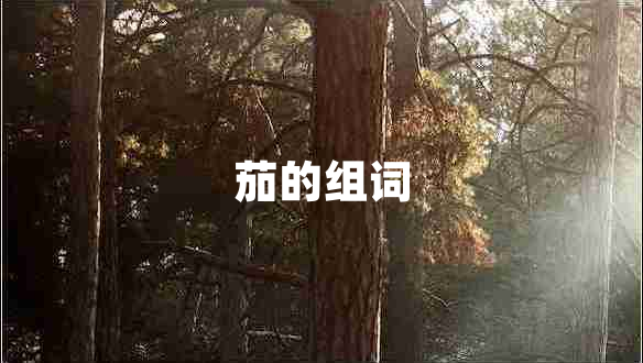 茄的组词