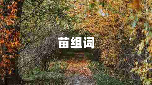 苗组词