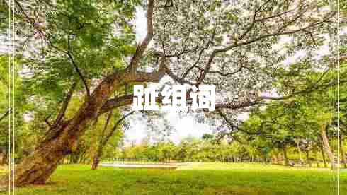 趾组词