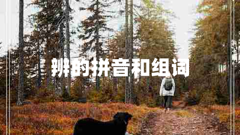 辨的拼音和组词