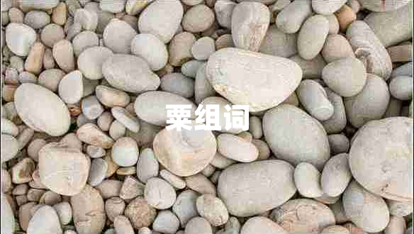 粟组词