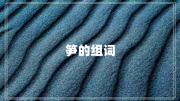 笋的组词